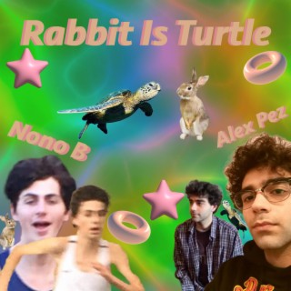 Rabbit Is Turtle