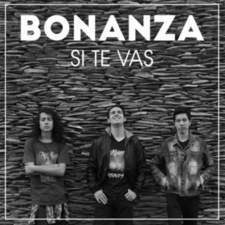 Si Te Vas lyrics | Boomplay Music