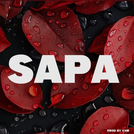 FREE AFROBEATS INSTRUMENTALS. SAPA AMAPIANO BEATS 2024