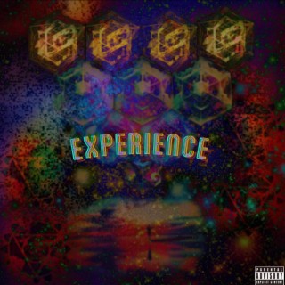 Experience