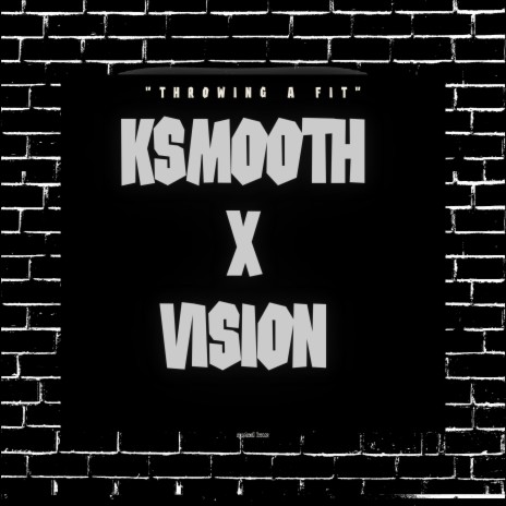 THROWING A FIT ft. VISION202 | Boomplay Music