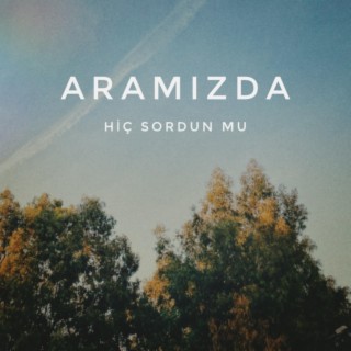 Hiç Sordun Mu lyrics | Boomplay Music