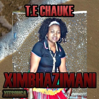 T.E Chauke