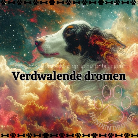 Ontspan je hond