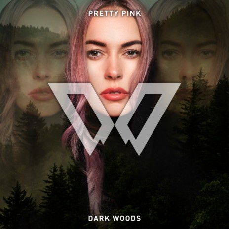 Dark Woods (Extended Mix) | Boomplay Music