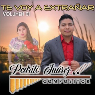 Te Voy a Extrañar