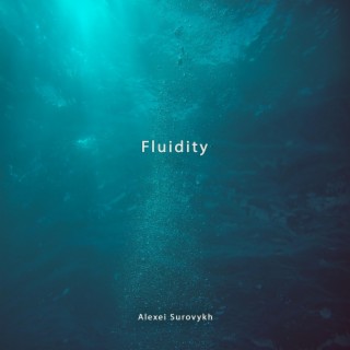 Fluidity