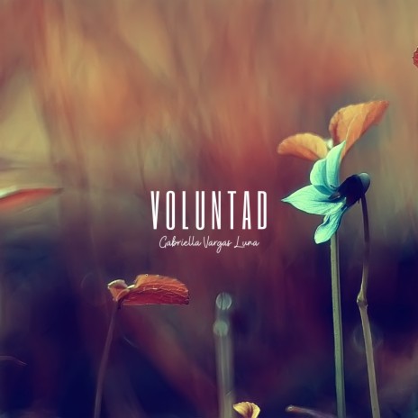 Voluntad | Boomplay Music