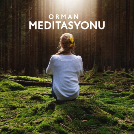 Başlangıç Meditasyonu | Boomplay Music