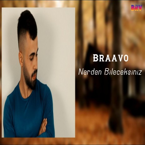 Nerden Bileceksiniz | Boomplay Music