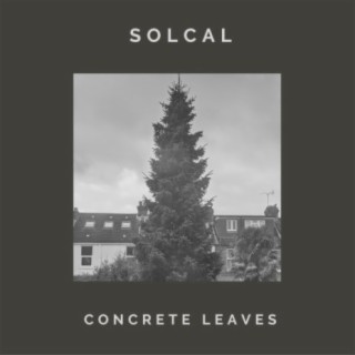 Concrete Leaves