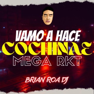 BRIAN ROA DJ