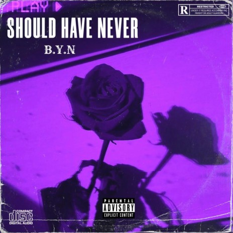 SHOULD HAVE NEVER | Boomplay Music