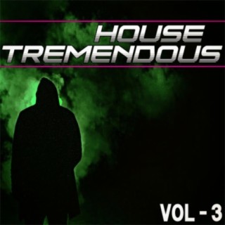 House Tremendous, Vol. 3 - Selected House Music for You