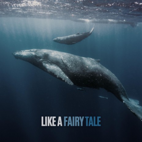 Like A Fairy Tale | Boomplay Music