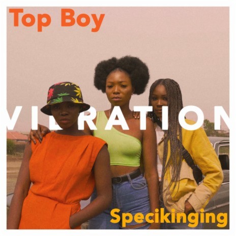 Vibration ft. Specikinging | Boomplay Music