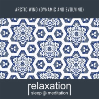 Arctic Wind (Dynamic and Evolving)