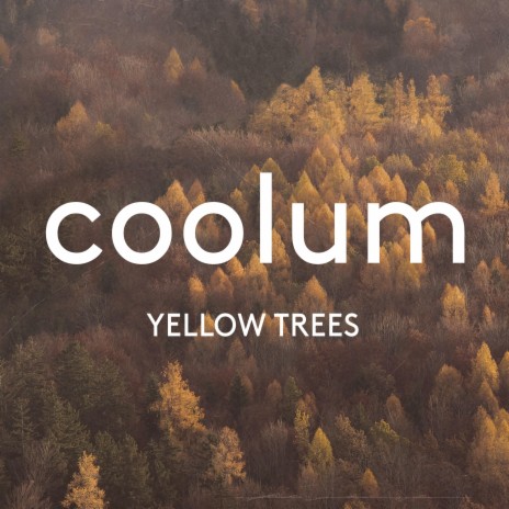 Yellow Trees