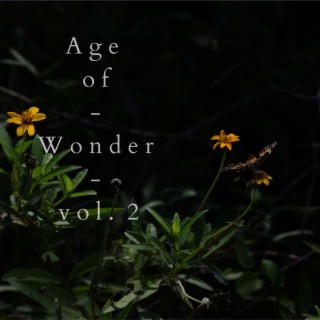 Age Of Wonder vol. 2