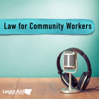 Support workers in the criminal justice system