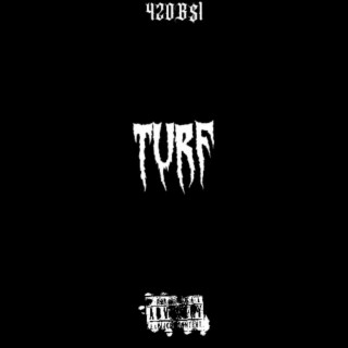 Turf