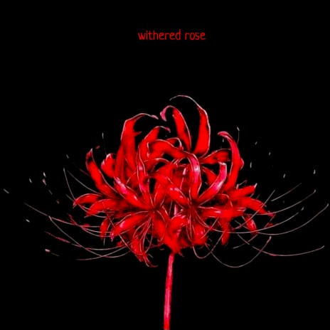 Withered Rose | Boomplay Music