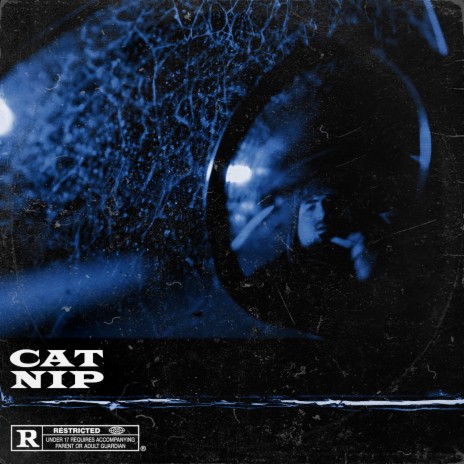 Cat Nip ft. Earf | Boomplay Music
