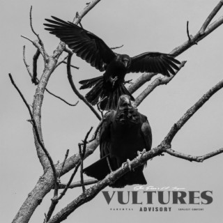 Vultures