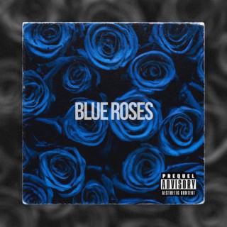 Blue Roses