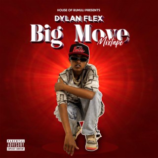 Dylan flex