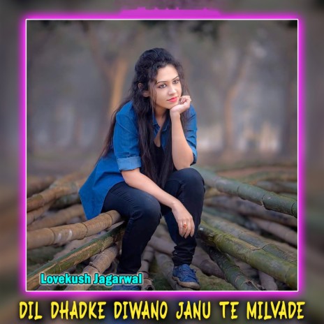 Dil Dhadke Diwano Janu Te Milvade | Boomplay Music