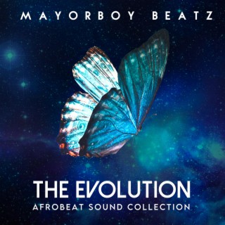 The Evolution: Afrobeat Sound Collection Vol.1