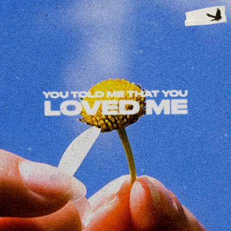 you told me that you loved me