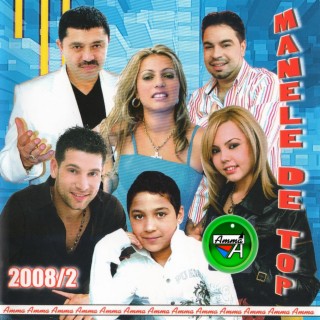 Manele De Top 2008, Vol. 2