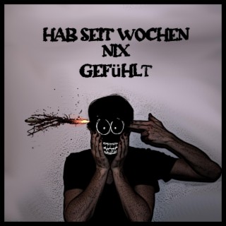 Hab Seit Wochen Nix Gefühlt lyrics | Boomplay Music