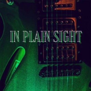 In Plain Sight lyrics | Boomplay Music