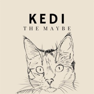 Kedi