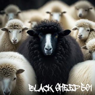 Black Sheep