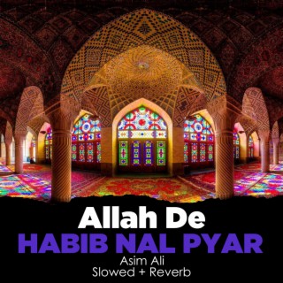 Allah De Habib Nal Pyar Lofi