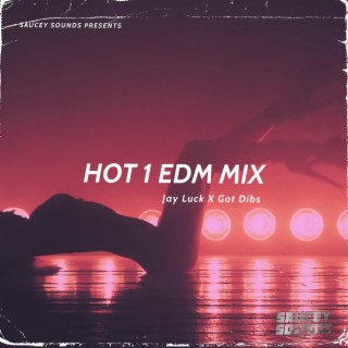 Hot 1 EDM Mix