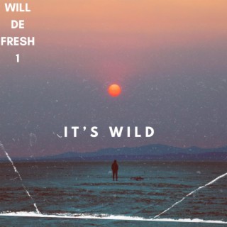 It's Wild lyrics | Boomplay Music