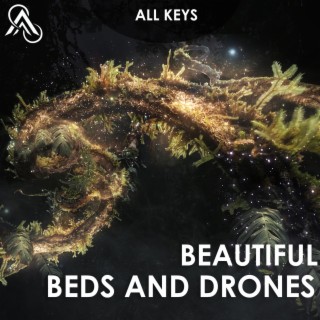 Beautiful Beds & Drones