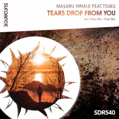 Tears Drop From You (Intro Dub Mix) ft. Tsuku | Boomplay Music