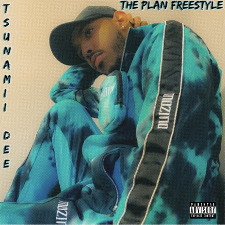The Plan Freestyle | Boomplay Music