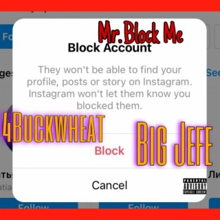 Mr.Block Me