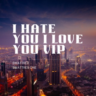 I Hate You I Love You VIP