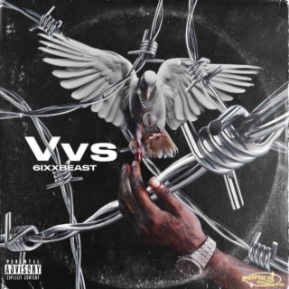 VVS