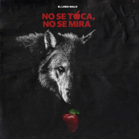 No Se Toca, No Se Mira | Boomplay Music