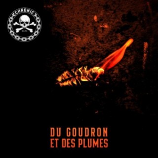 Du goudron et des plumes (Nouvel ordre part I)