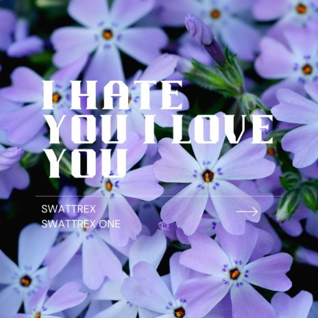 I Hate You I Love You ft. Swattrex One | Boomplay Music